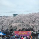 태화강맞이 종합편의점 | 2026년 종갓집 중구 태화강 달리기 참여 후기