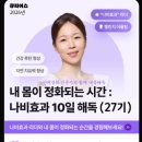 미리안나비 이미지