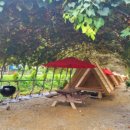 쌍류포도정원협동조합 이미지