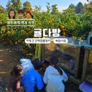 제주 귤다방 아동건강체험비 사용처 독립서점 카페 감귤체험 추천