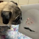 산호대로-91 | 제목 미정 5월 블로그 -1