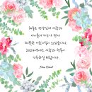 해처럼어린이집 이미지