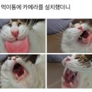 비야 이미지