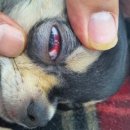 대전동부경찰서 가양지구대 이미지