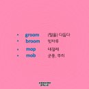 Groom Broom 이미지