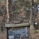 솔마루길 대공원산 이미지