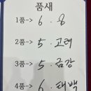 문산경희태권도 이미지