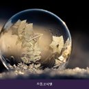 으뜸고시원 - 종로구 명륜길 40 | 노량진고시원 으뜸고시텔 시설 깔끔 이라 이용하기 좋은 곳의 매장 위치와 주차