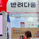 몽펫푸드 이미지