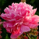 사직동약국 이미지