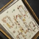 세라젬 마곡점 | [결혼식 준비 과정] 마곡 '보타닉 파크 웨딩' 계약 후기(웨딩 카페 x 플래너 x)