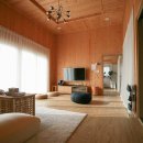 이디오랜 이미지