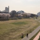 동촌유원지 티스토리