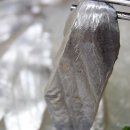 동해미락 이미지