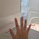 은하자연어린이집 | 은하랑 탄이랑 - 은하 1주일차