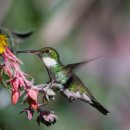 영어회화(기초) 이미지