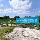 베드로 농장 이미지