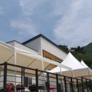 한스바움 이미지