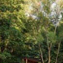 현대사우나 이미지