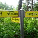 야로초등학교 이미지