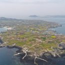 제주섬부동산공인중개사사무소 이미지