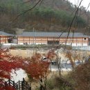 명품관 - 서구 | 명품관