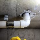 미리네 수선 이미지