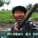 애나어른