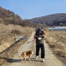 웃는봄 | 파주 카라더봄 유기견보호센터 봉사 후기 청소부터 산책까지