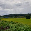 노암1리 진등 이미지