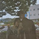 오천그린광장 | [순천기차여행2] 2박 3일 뚜벅이 순천 여행 코스,낙안읍성,최대감 별교꼬막,이레돈까스,오천그린광장