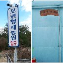 성남 모란 형제농원 다육창꼬 방문후기 2탄