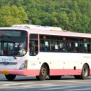 정부경북지방합동청사 앞 이미지