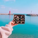 배말칼국수김밥기장