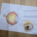 온누리 종합동물병원 이미지