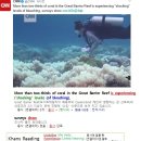 #CNN #KhansReading 2017-04-12-2 Great Barrier Reef is experiencing shocking levels of bleaching 이미지