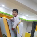 일등아이태권도 이미지