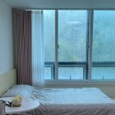 당진 미즈맘: 산후조리원 9박 10일 후기