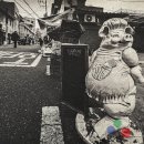 오늘부터 사진작가 이미지