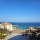 양양목장 | 쏠비치 양양 호텔 &amp; 리조트 오션뷰 11월 오션플레이 후기