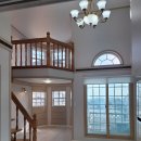 푸조와곰솔 이미지