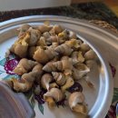 유마트 면목점 | 동해안 생물 백골뱅이 백고동 후기/골뱅이쌈