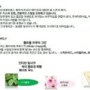 쏘 프레쉬