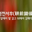 서후랑