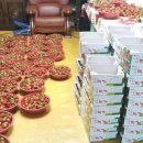 국민농장 이미지