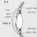 씨유안경 이미지