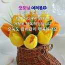 🍒카톡 인사말 - (536) 이미지