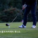 가야CC골프아카데미 제니스 네이버블로그