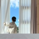 스테이 플랑 이미지