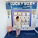 옥길로56번길3C | 부천 옥길동 브런치 카페 에이프(AIP) | 식물 가차 있는 플랜테리어 카페